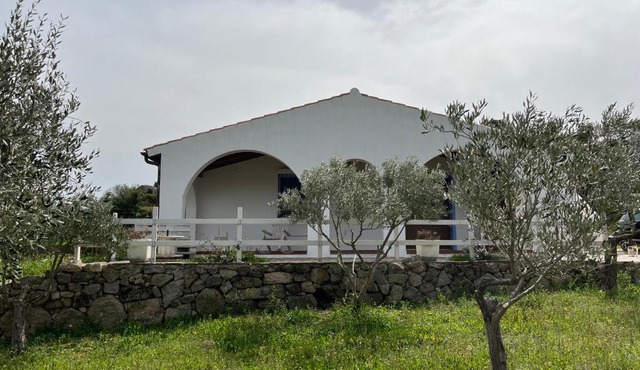 La casa nell'oliveto