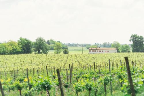 La Cascinetta