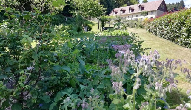 LA CLIMONTAINE