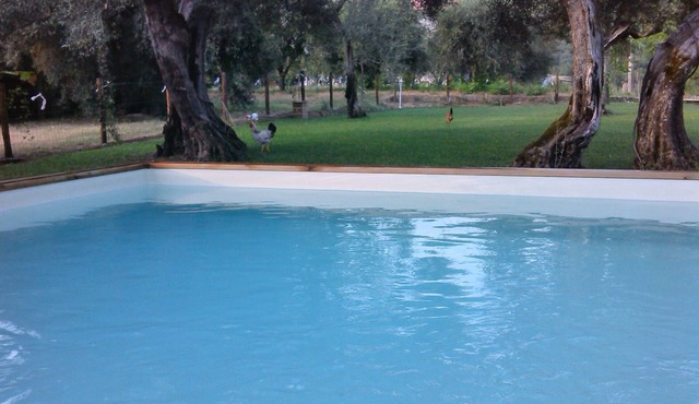 La Collina degli Ulivi (Touristic Rentals) Passiflora