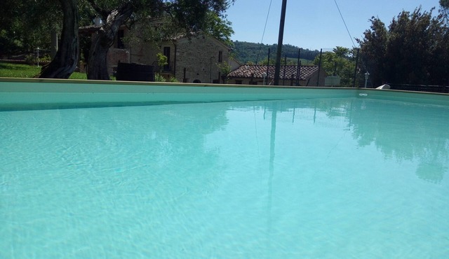 La Collina degli Ulivi (Touristic Rentals): Ginestra