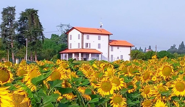 La collinetta B&B