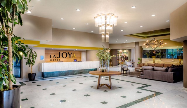 La Joya Pachuca