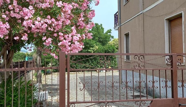 La magnolia