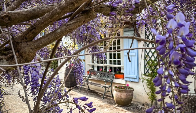 La Maison Dans la Brie