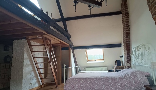 La maison des chiens