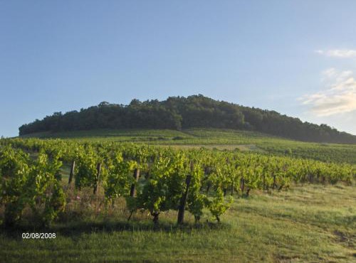 La maison du vigneron