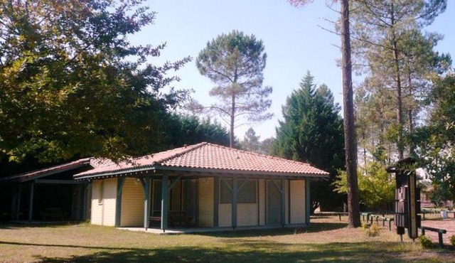 La molinie