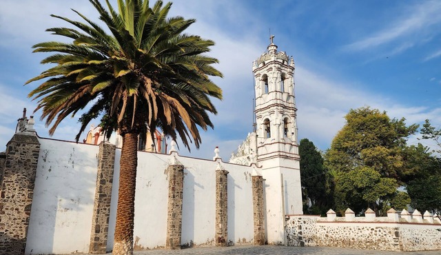La Palma Co-living