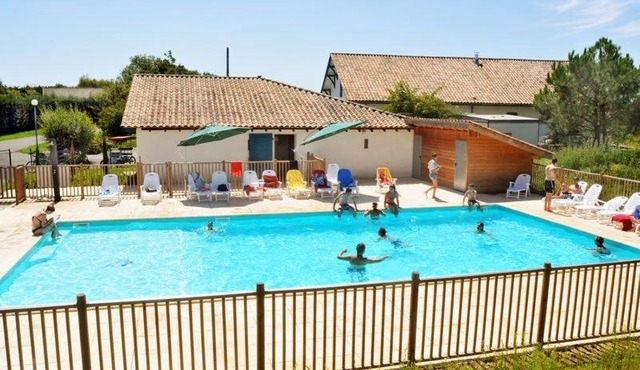La palombe