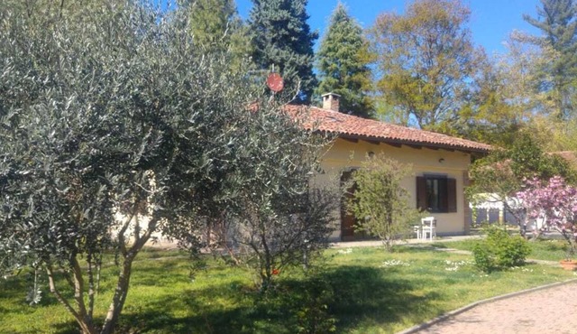 La Quercia Holiday Home and the Olive Tree