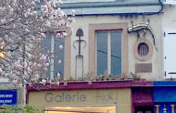 la salamandre