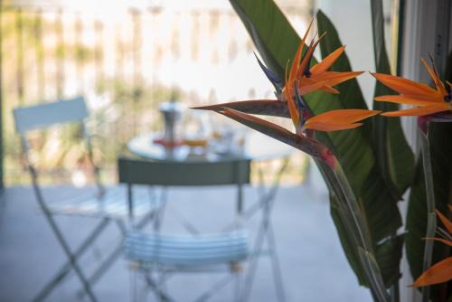 La Strelitzia Cervo Mare