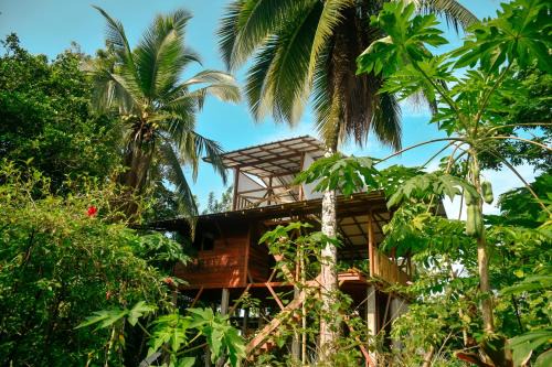 La tarima del colibri Ecolodge