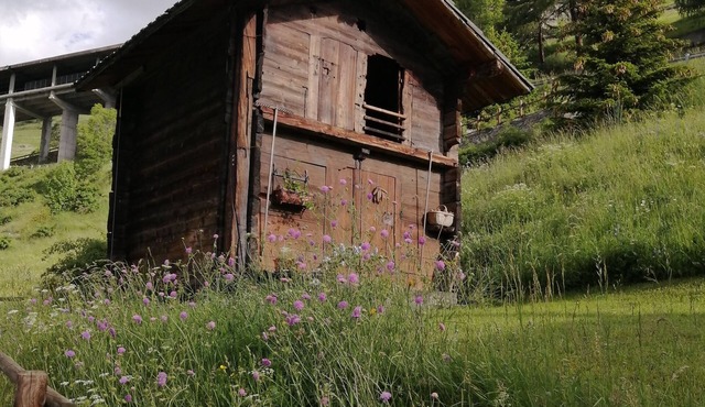 La Thuillettaz B&B Maisons de Montagne