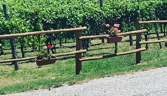 La Timpa del Cucco