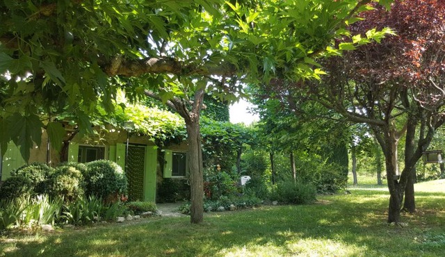 LA TONNELLE