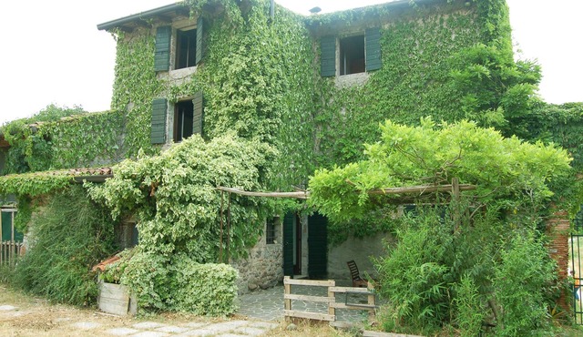 La Torretta: near Peschiera del Garda, surrounded by greenery, quiet