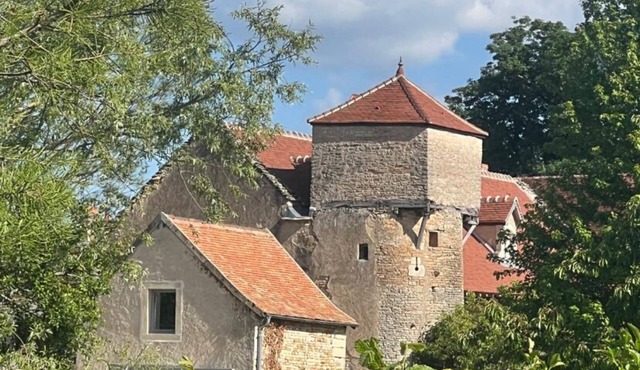 La Tour Chapaize - Maison de charme de 300m2 avec piscine.
