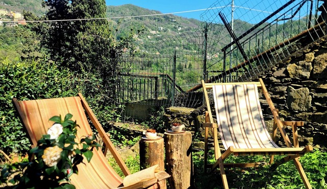 La Volpe e La Rosa