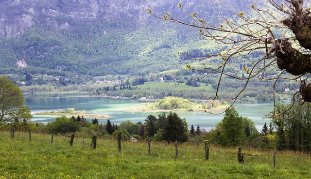Lac Aiguebelette Soukavati 2 Pers vue Calme Breathtaking View Aiguebelette