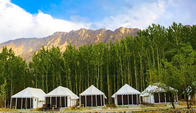Ladakh Tarrain Camp