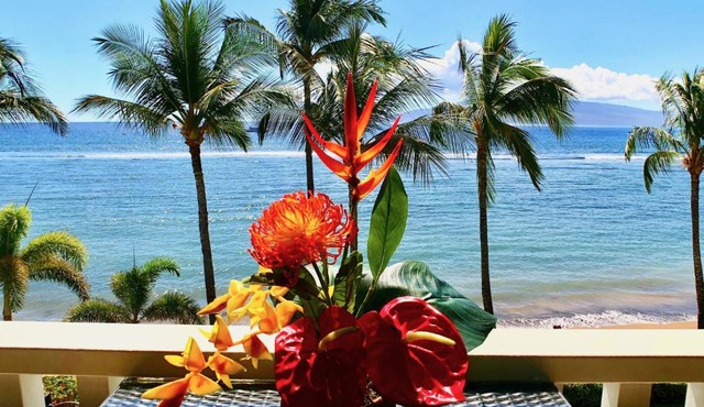 Lahaina Shores Oceanfront Studio