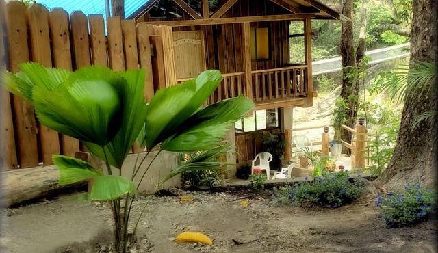 Laid Back Cabin overlooking the river