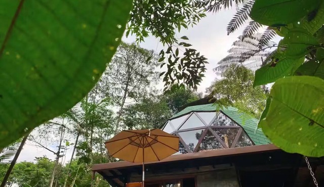 Laje Waterfall Dome, with relaxing wet sauna