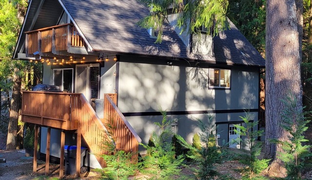 Lake Cushman Cabin: 1-Min Walk to 2 Lakes, Sleeps 10, 2.5 baths, Wi-Fi, Dogs OK!