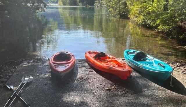 Lake Cushman Escape: Kayaks & Arcade, Pet Friendly Stay with a EV charger!