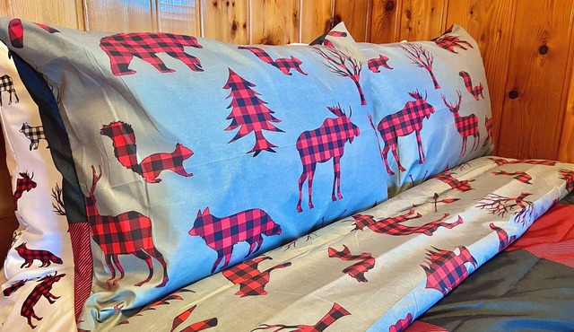 Lake Escape Cottage on Pickerel Lake Can Sleep 6