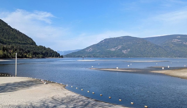 Lake side 2-bedroom condo in Sicamous with WiFi, AC
