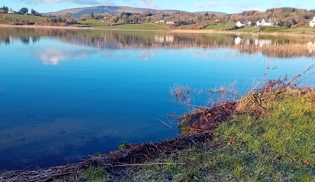 Lake view