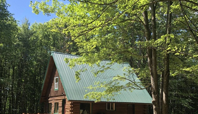 Lakefront Catskills Log Home Our Own Private Lake Fireplace, Boats, Hot Tub!