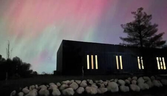 Lakefront Modern Cottage: 25 mins to Blue Mountain