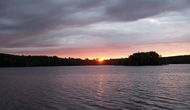 Lakeside Cabin & Paddle Craft