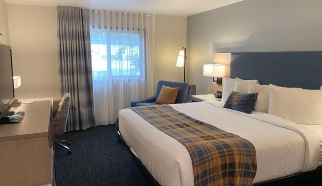 Lakeside Relaxation: Modern Rooms & Amenities