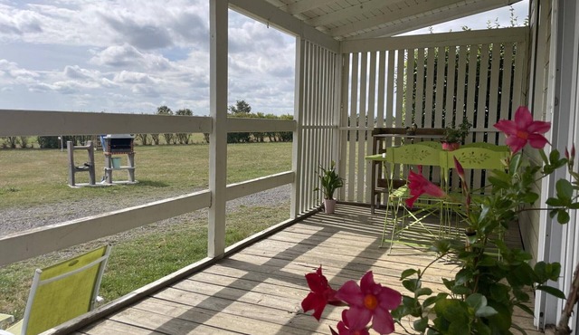 Lakeview Chalets: Terraces, BBQ, Swimming, Pedal Boats, Fishing, Pet-Friendly, All-Inclusive Amenities