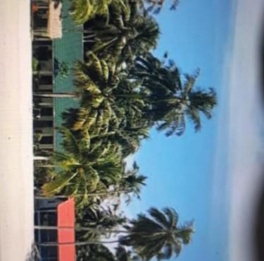 Lances right surf camp