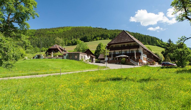 Landgasthaus Grüner Baum