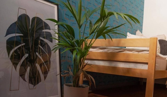 LaOla Living - Hostel