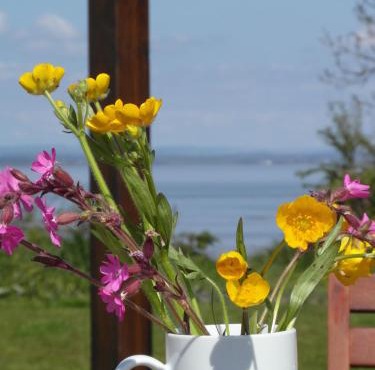 Lapwing Lodge