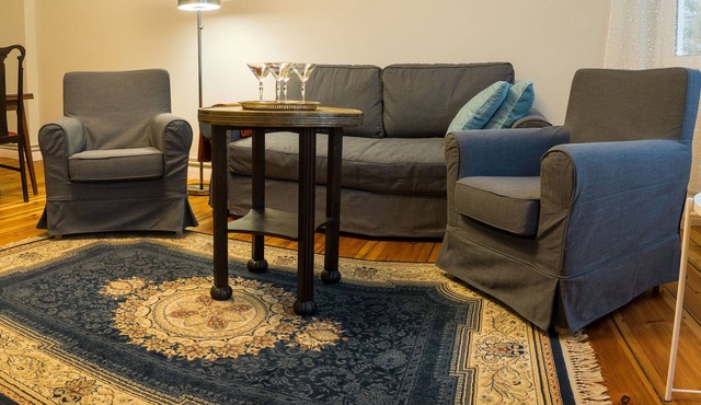 Large 2-room apartment with garden in the middle of Pankow