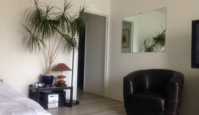 Large 36m2 studio near Eiffel Tower