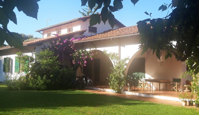 Large 60s villa with large garden, near the sea.