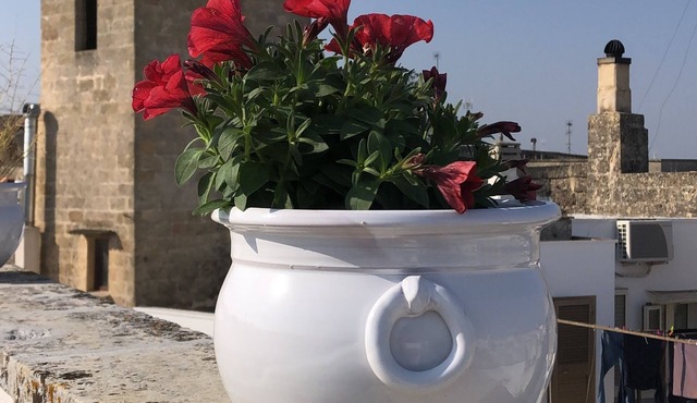 Large accommodation nl historical center with private terrace of 150 sqm