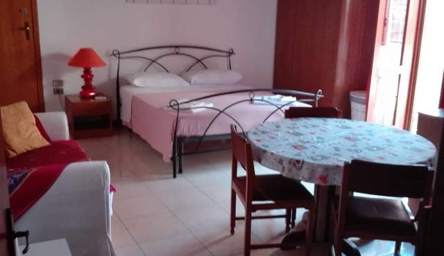Large and bright studio apartment
