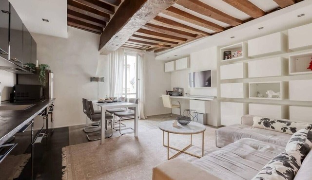 Large and Modern 1Brd Flat at Lovely Saint Germain