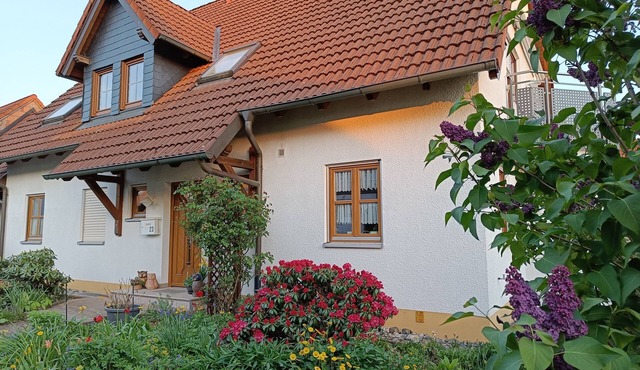 large and quiet apartment in the heart of Upper Franconia